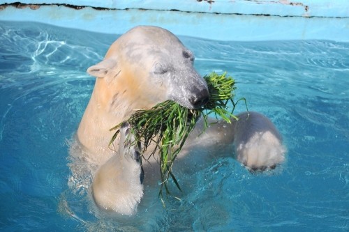 2月10日~浜松市動物園・キロル~14時台から15時台