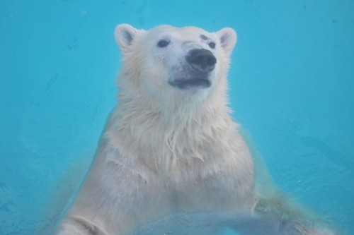 2月10日~浜松市動物園・キロル~15時台から閉園まで