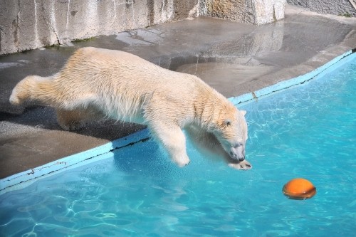 ２月１１日～浜松市動物園・キロル～１２時台から１５時台