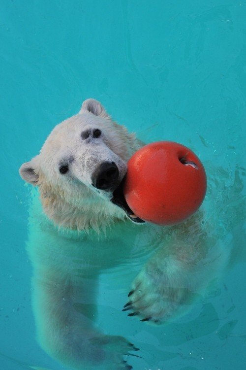 2月12日~浜松市動物園・キロル~11時台から12時台