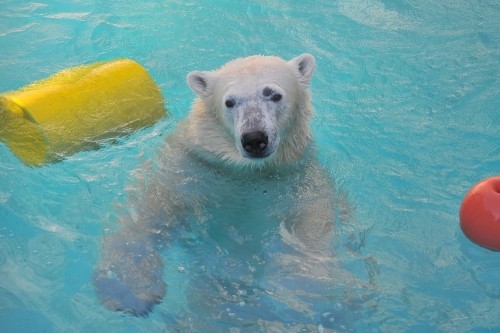 ２月１２日～浜松市動物園・キロル～１５時台から１６時台