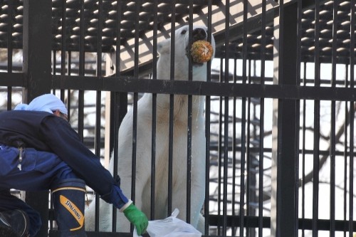 4月8日~おびひろ動物園・イコロ&アイラ・3