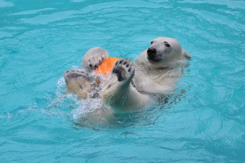 4月14日~浜松市動物園・キロル~開園から10時半まで