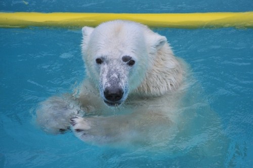 4月14日~浜松市動物園・キロル~15時台から16時台