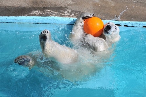 4月13日~浜松市動物園・キロル~開園から10時台