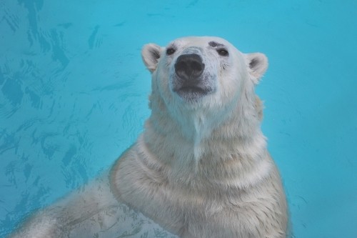 4月13日~浜松市動物園・キロル~14時から15時台