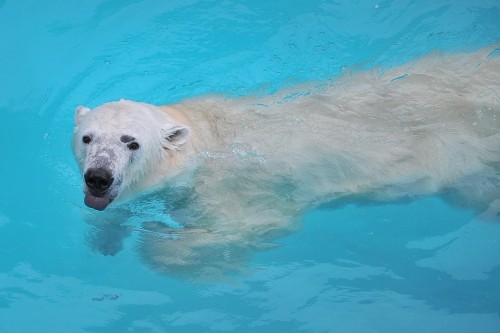 4月13日~浜松市動物園・キロル~15時台から閉園まで