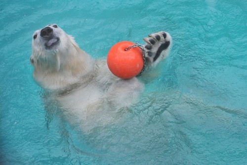 ４月１１日～浜松市動物園・キロル～１０時台から１２時台