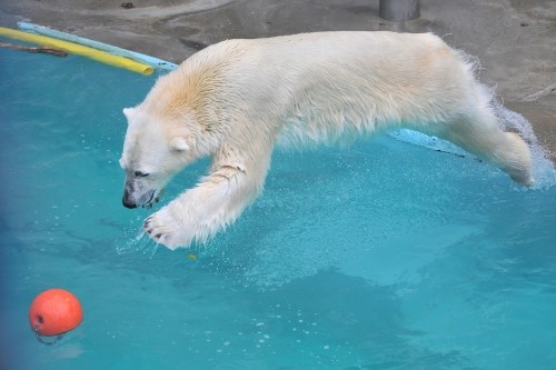 4月11日~浜松市動物園・キロル~12時台から15時台