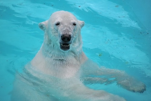 6月2日~おびひろ動物園・イコロ&アイラ~11時台から14時台
