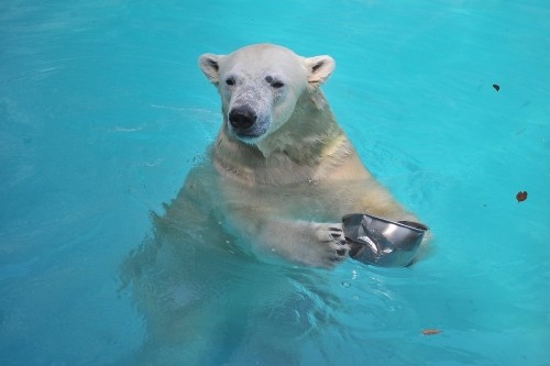 6月23日~浜松市動物園・キロル~14時台から16時台まで