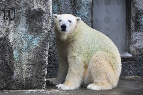 6月22日~浜松市動物園・キロル~開園から10時半まで