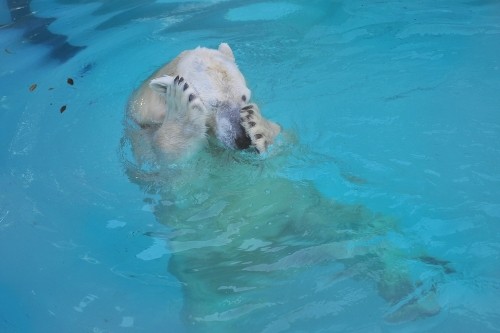 6月22日~浜松市動物園・キロル~15時台から閉園まで