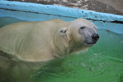 6月20日~浜松市動物園・キロル~開園から10時台