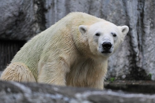 6月20日~浜松市動物園・キロル~10時台から11時台