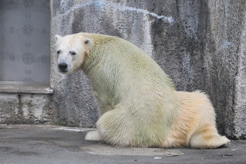 6月20日~浜松市動物園・キロル~11時台続き