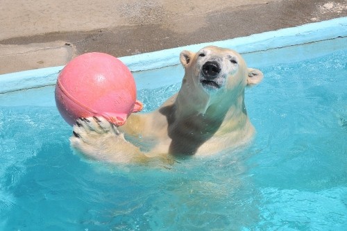 8月24日~浜松市動物園・キロル~11時台から14時台