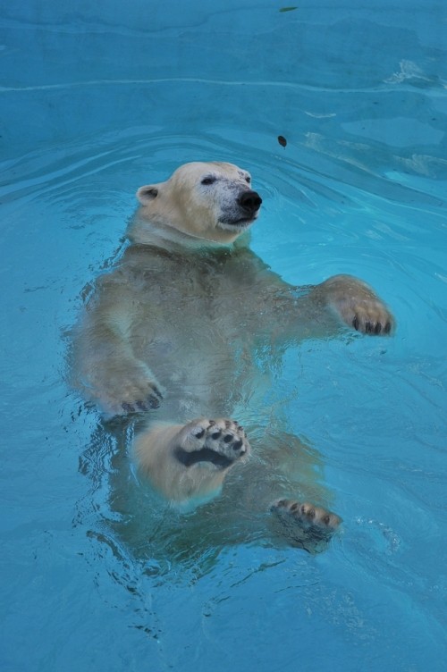 8月24日~浜松市動物園・キロル~15時台から閉園まで