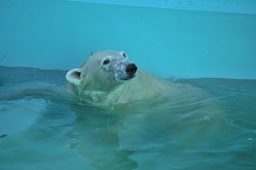 9月15日~おびひろ動物園・イコロ&アイラ~開園から10時台