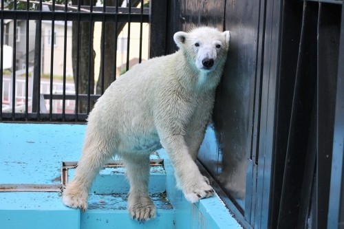 9月15日~おびひろ動物園・イコロ&アイラ~15時から閉園まで