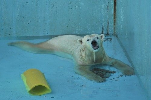 8月23日~浜松市動物園・キロル~10時台続き