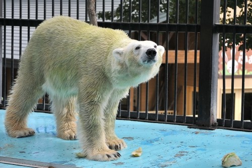 9月13日~おびひろ動物園・イコロ&アイラ~11時台続き