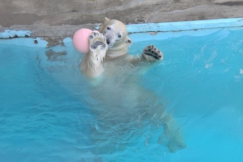 11月25日~浜松市動物園・キロル~13時台から15時台