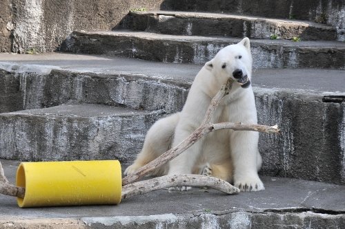 2月11日~浜松市動物園・キロル~写真少なめ&動画