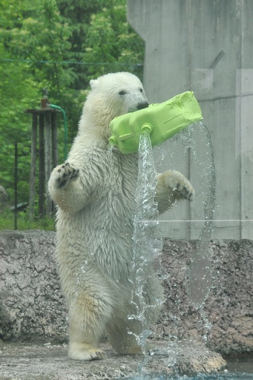 ６月２１日～とくしま動物園・ポロロ～１２時台から閉園まで