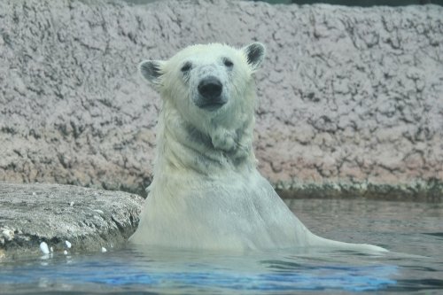 ９月２０日～とくしま動物園・ポロロ～１１時台から１４時まで