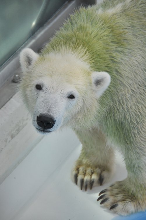 ９月２３日～熊本市動植物園・マルル～開園から１２時台まで