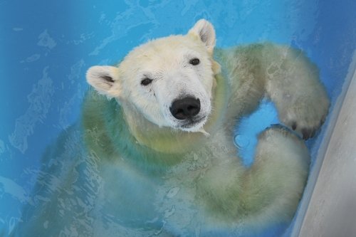 ９月２３日～熊本市動植物園・マルル～１２時台から１４時まで