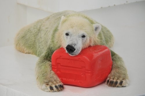 ９月２３日～熊本市動植物園・マルル～１４時から閉園まで