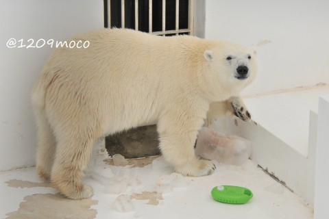 7月20日～熊本市動植物園・マルル