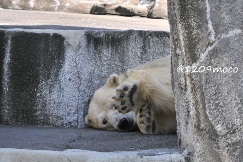 9月19日～今日のキロル