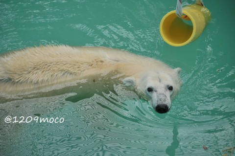 9月25日～おびひろ動物園・アイラ～PM