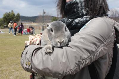 岡山うさんぽ会の仲間たち