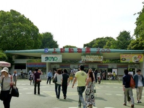 動物園日和でした。