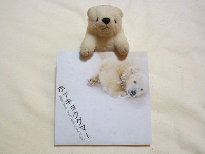 届いた～！