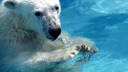 変なものとは。(動画追加)