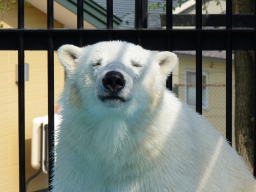 たびの計画案・その1