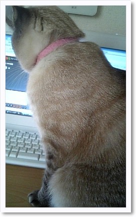 もみじさん・・・。