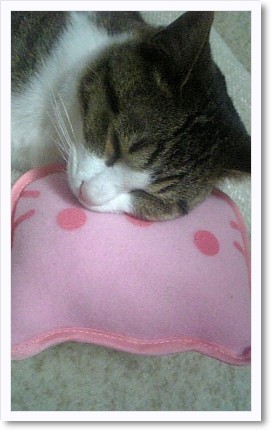 頭隠して尻?・・・隠さず。