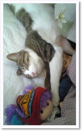 怒涛の3か月でぐったり。 猫と犬だけが救いです (*´Д`)=з