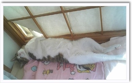 地味だけど破壊王。