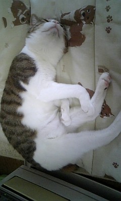 見つめる男。