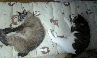 にじり寄る男。