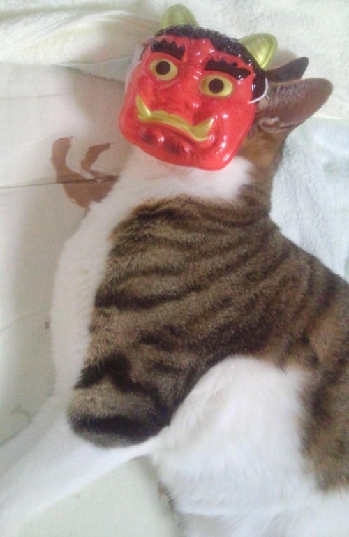 鬼はーーーーーーーーー猫っっ！？