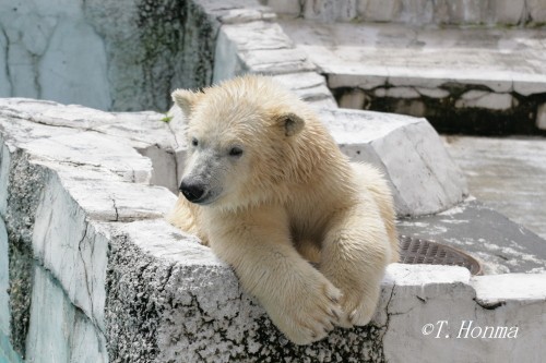 土曜日は忙しいのです