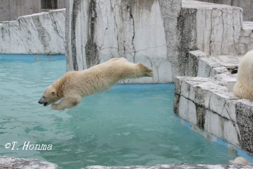 昨年の今頃のイコキロ